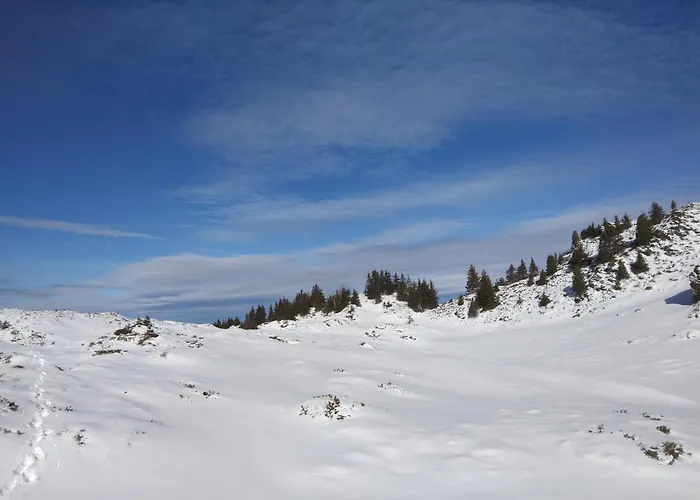 Le Chalet